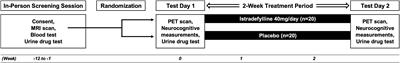 Effects of an Adenosine A2A Receptor Antagonist on Striatal Dopamine D2-Type Receptor Availability: A Randomized Control Study Using Positron Emission Tomography